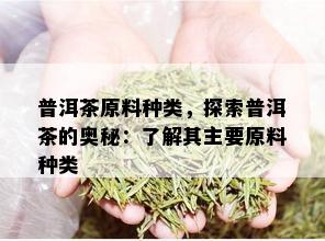 普洱茶原料种类，探索普洱茶的奥秘：了解其主要原料种类