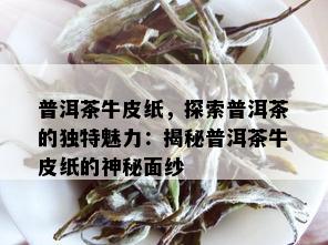 普洱茶牛皮纸，探索普洱茶的独特魅力：揭秘普洱茶牛皮纸的神秘面纱