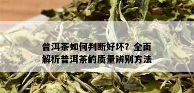 普洱茶如何判断好坏？全面解析普洱茶的质量辨别方法