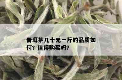 普洱茶几十元一斤的品质如何？值得购买吗？