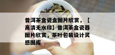 普洱茶盒瓷盒图片欣赏，【高清无水印】普洱茶盒瓷器图片欣赏，茶叶包装设计灵感图库