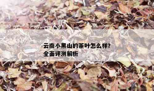 云南小黑山的茶叶怎么样？全面评测解析