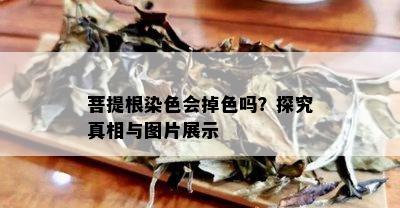 菩提根染色会掉色吗？探究真相与图片展示