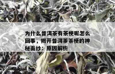 为什么普洱茶有茶梗呢怎么回事，揭开普洱茶茶梗的神秘面纱：原因解析