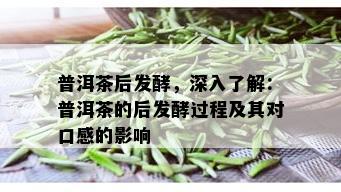 普洱茶后发酵，深入了解：普洱茶的后发酵过程及其对口感的影响