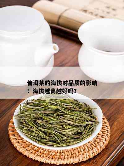 普洱茶的海拔对品质的影响：海拔越高越好吗？