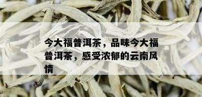 今大福普洱茶，品味今大福普洱茶，感受浓郁的云南风情