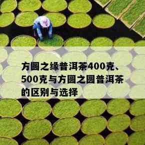 方圆之缘普洱茶400克、500克与方圆之圆普洱茶的区别与选择