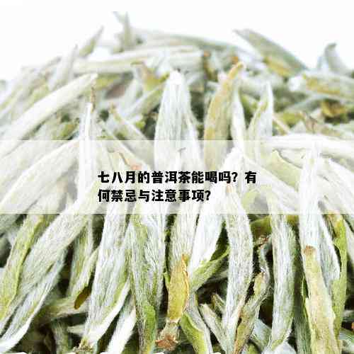 七八月的普洱茶能喝吗？有何禁忌与注意事项？