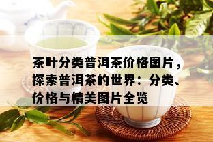 茶叶分类普洱茶价格图片，探索普洱茶的世界：分类、价格与精美图片全览