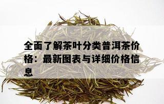 全面了解茶叶分类普洱茶价格：最新图表与详细价格信息