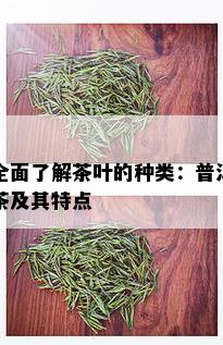 全面了解茶叶的种类：普洱茶及其特点