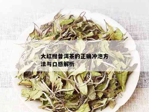 大红柑普洱茶的正确冲泡方法与口感解析