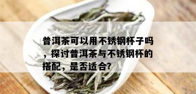 普洱茶可以用不锈钢杯子吗，探讨普洱茶与不锈钢杯的搭配，是否适合？