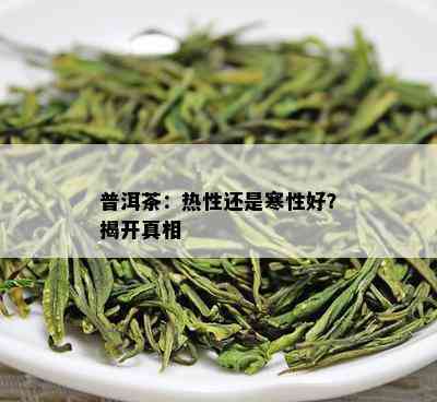 普洱茶：热性还是寒性好？揭开真相