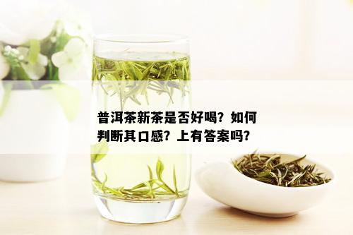 普洱茶新茶是否好喝？如何判断其口感？上有答案吗？