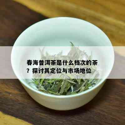 春海普洱茶是什么档次的茶？探讨其定位与市场地位