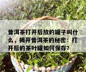 普洱茶打开后放的罐子叫什么，揭开普洱茶的秘密：打开后的茶叶罐如何保存？