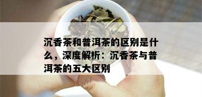 沉香茶和普洱茶的区别是什么，深度解析：沉香茶与普洱茶的五大区别