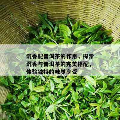 沉香配普洱茶的作用，探索沉香与普洱茶的完美搭配，体验独特的味觉享受