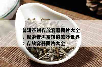 普洱茶饼存放容器图片大全，探索普洱茶饼的美妙世界：存放容器图片大全