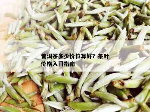 普洱茶多少价位算好？茶叶价格入门指南