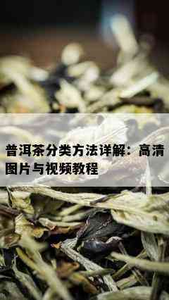 普洱茶分类方法详解：高清图片与视频教程