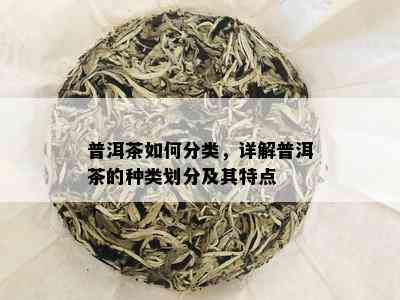 普洱茶如何分类，详解普洱茶的种类划分及其特点