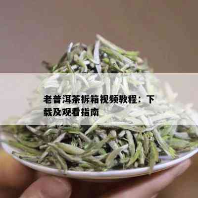 老普洱茶拆箱视频教程：下载及观看指南