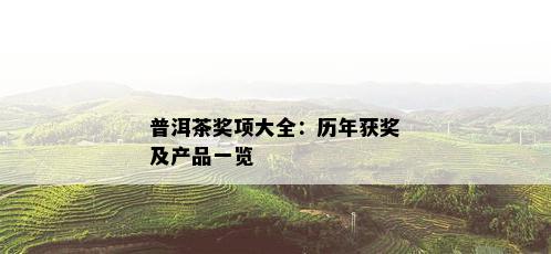 普洱茶奖项大全：历年获奖及产品一览