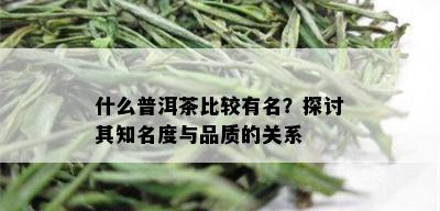 什么普洱茶比较有名？探讨其知名度与品质的关系