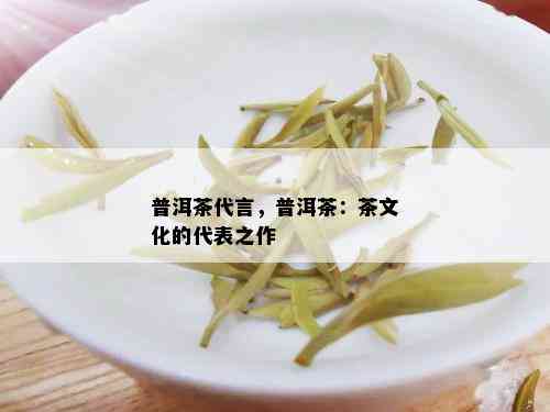 普洱茶代言，普洱茶：茶文化的代表之作