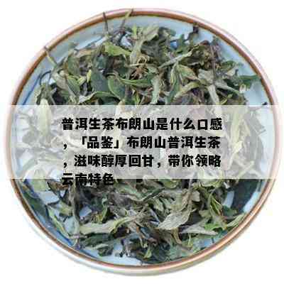 普洱生茶布朗山是什么口感，「品鉴」布朗山普洱生茶，滋味醇厚回甘，带你领略云南特色