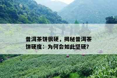 普洱茶饼很硬，揭秘普洱茶饼硬度：为何会如此坚硬？