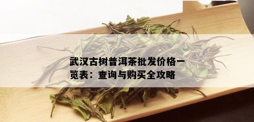 武汉古树普洱茶批发价格一览表：查询与购买全攻略