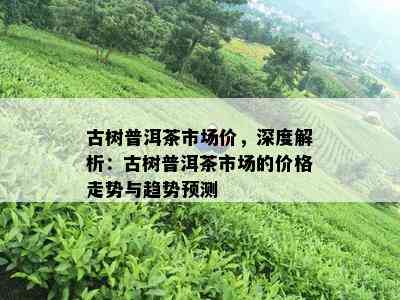 古树普洱茶市场价，深度解析：古树普洱茶市场的价格走势与趋势预测