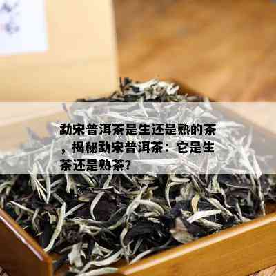 勐宋普洱茶是生还是熟的茶，揭秘勐宋普洱茶：它是生茶还是熟茶？