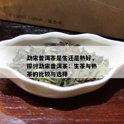 勐宋普洱茶是生还是熟好，探讨勐宋普洱茶：生茶与熟茶的比较与选择