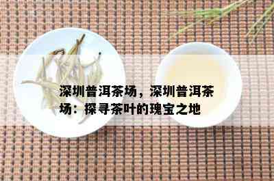 深圳普洱茶场，深圳普洱茶场：探寻茶叶的瑰宝之地