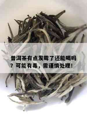 普洱茶有点发霉了还能喝吗？可能有，需谨慎处理！