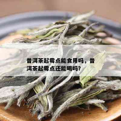 普洱茶起霉点能食用吗，普洱茶起霉点还能喝吗？