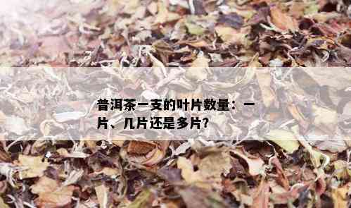 普洱茶一支的叶片数量：一片、几片还是多片？