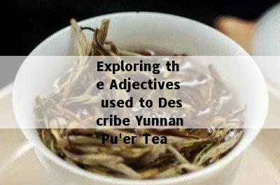 Exploring the Adjectives used to Describe Yunnan Pu'er Tea