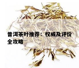 普洱茶叶推荐：权威及评价全攻略