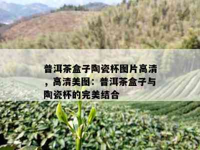 普洱茶盒子陶瓷杯图片高清，高清美图：普洱茶盒子与陶瓷杯的完美结合