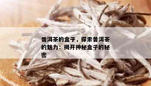 普洱茶的盒子，探索普洱茶的魅力：揭开神秘盒子的秘密