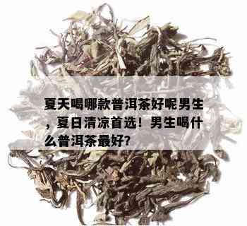 夏天喝哪款普洱茶好呢男生，夏日清凉首选！男生喝什么普洱茶更好？