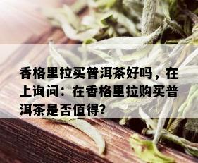 香格里拉买普洱茶好吗，在上询问：在香格里拉购买普洱茶是否值得？