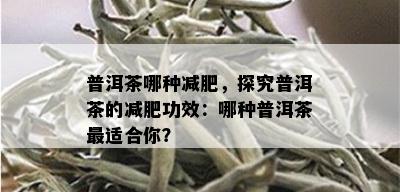 普洱茶哪种减肥，探究普洱茶的减肥功效：哪种普洱茶最适合你？