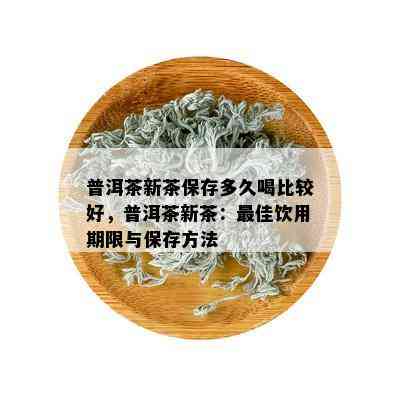 普洱茶新茶保存多久喝比较好，普洱茶新茶：更佳饮用期限与保存方法